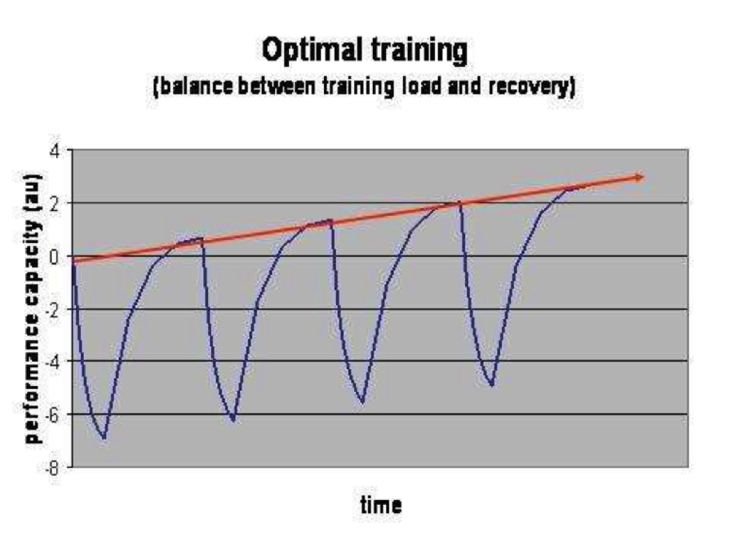 optimale-training