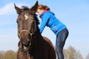 osteopathie-behandeling-paard