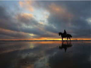 strandrit-paard