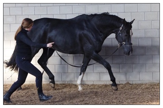 yacinta-feringa-instructie