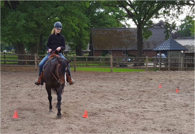 oefening-pionnen-paard