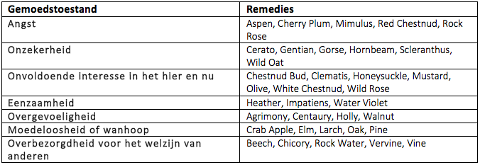 bachbloesems