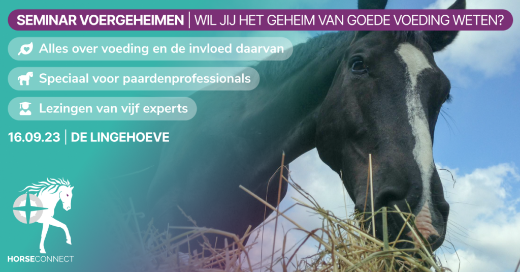 (c) Horseconnect.nl